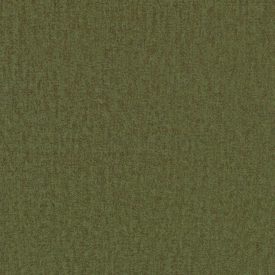 KAMELEON 38